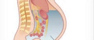 Abdominal ascites in oncology treatment reviews