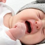 Bacteria for newborns against colic