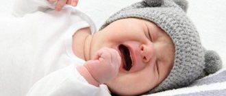 Bacteria for newborns against colic