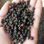 Black peppercorns for diarrhea: mechanism of action, contraindications, reviews - tips and recommendations about health on AllMedNews.ru