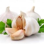 Garlic for Giardia