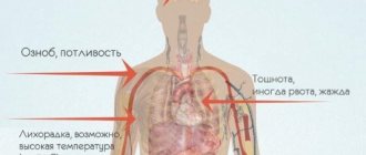 Diarrhea during pregnancy second trimester