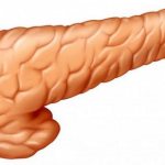 where is the pancreas located in humans