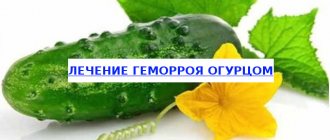 Лечение геморроя огурцом