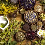 Herbal treatment of duodenal ulcers