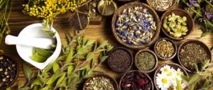 Herbal treatment of duodenal ulcers