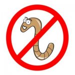 No worms