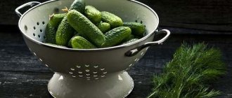 Cucumber benefits and harm