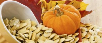 Useful composition of pumpkin seeds