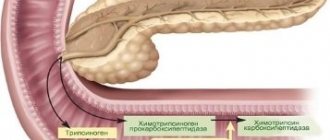 Diarrhea with pancreatitis (diarrhea): treatment, how to stop, herbal medicine