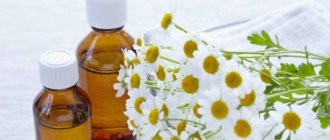 Chamomile for hemorrhoids - how to use the plant to combat inflammation of the hemorrhoidal plexuses