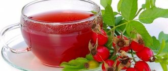 Rosehip improves the functioning of the immune system