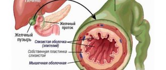 строение оболочек