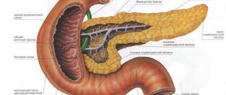 The structure of the human digestive system