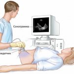 Ultrasound of the abdominal organs