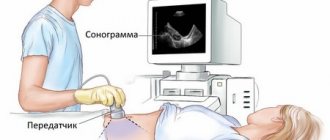 Ultrasound of the abdominal organs