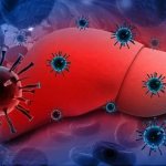 Hepatitis C virus in the liver