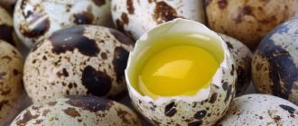 Eggs for gastritis: chicken and quail, benefits and harms, recipes, tips