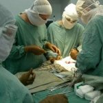 Closing the colostomy during the operation. Colostomy surgery 